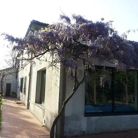 Casa di campagna Casa Dell\u2019editore \u2013 Books & Breakfast